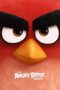 The Angry Birds Movie (2016) The Angry Birds Movie (2016)