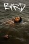 Download Streaming Film Bird (2024) Subtitle Indonesia HD Bluray